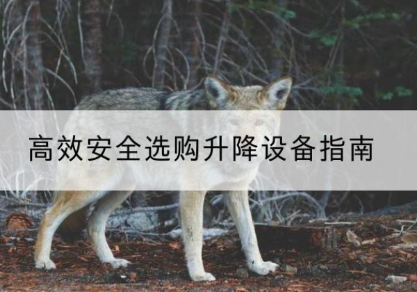句容升降货梯厂家推荐-*安全选购升降设备指南
