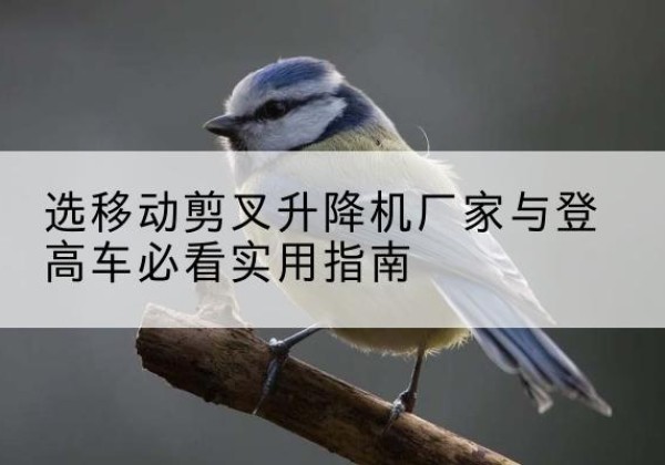 句容电动升降机厂家-选移动剪叉升降机厂家与登高车必看实用指南