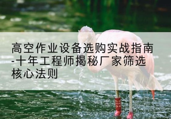 句容剪叉式升降机厂家-高空作业设备选购实战指南-十年工程师揭秘厂家筛选核心法则